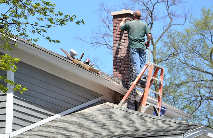 Chimney & Fireplace Inspections Services in Fraser, MI